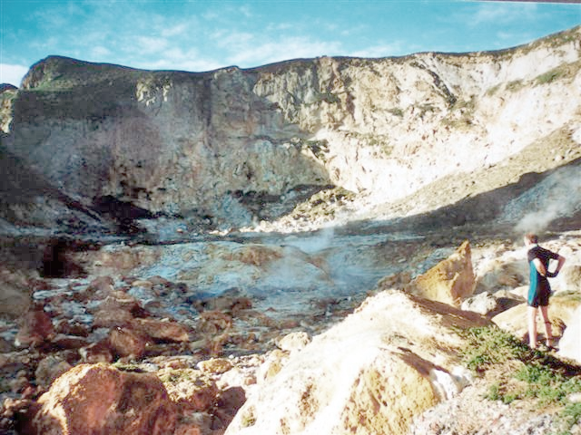 Curtis Island, Kermadec